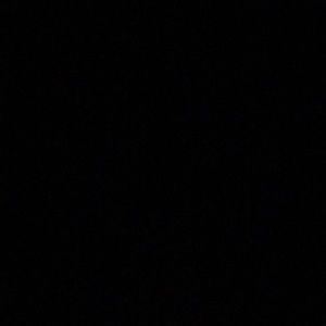 Meet your Posher, Hayden